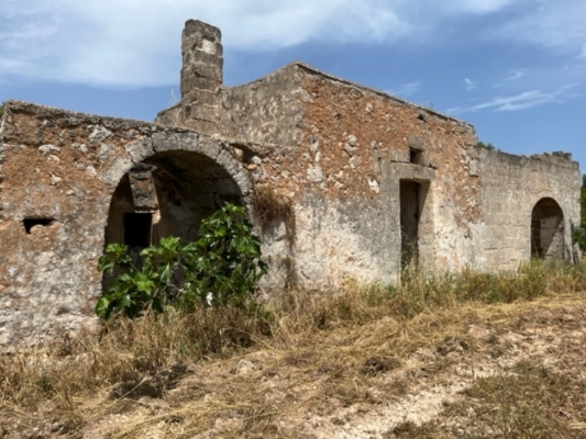 (Cod. Immobile: VE-LAM-1015) - Tipologia: Casolare/Lamia a Carovigno (Brindisi) Puglia