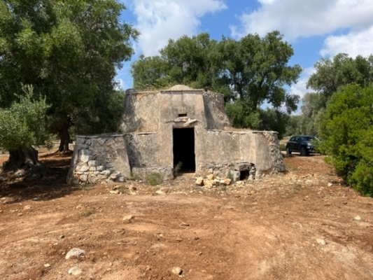 (Cod. Immobile: VE-LAM-1019) - Tipologia: Casolare/Lamia a Carovigno (Brindisi) Puglia