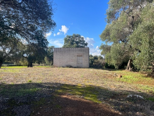 (Cod. Immobile: ve-ter-pgc) - Tipologia: Terreno a Carovigno (Brindisi) Puglia